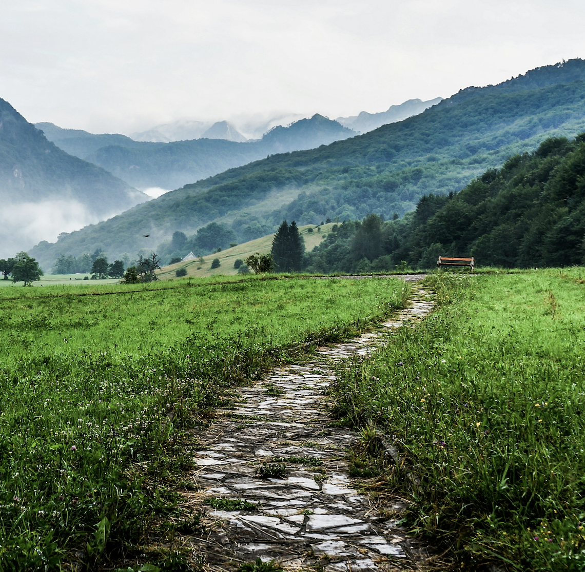 Stone path through a grassy field leading to misty forested mountains