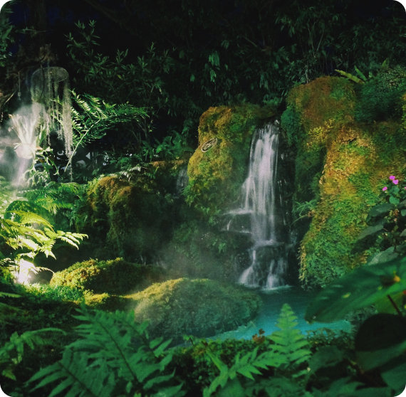 Waterfalls over mossy rocks in a tropical forest, surrounded by lush greenery.